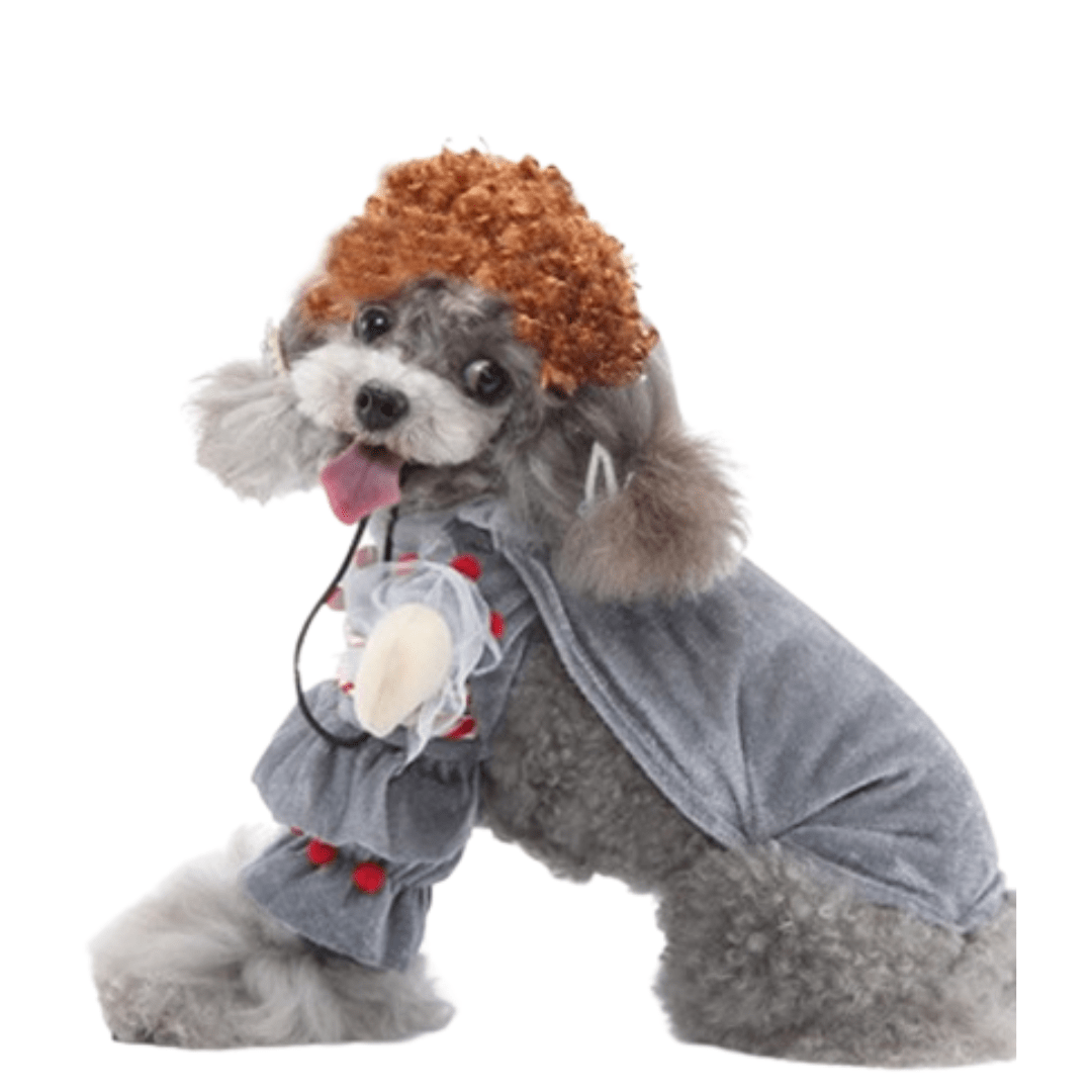 Déguisement pour chat et chien - Grippe Sou