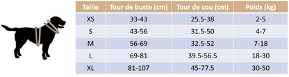 Guide des tailles de notre harnais anti traction pour chien - Edition floral