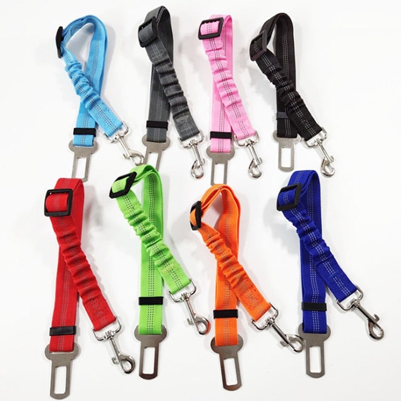Gamme de laisse ceinture de sécurité voiture pour chien 