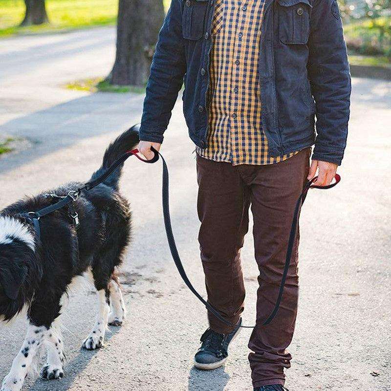 Laisse double poignée pour chien