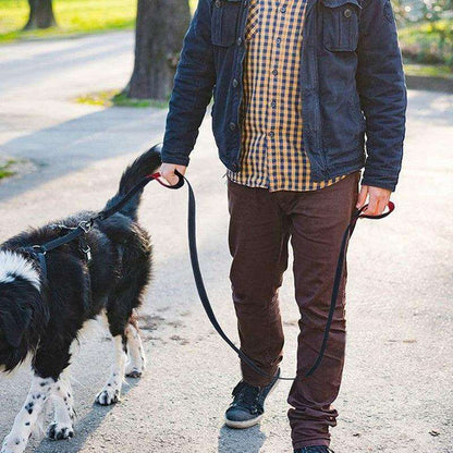 Laisse double poignée pour chien