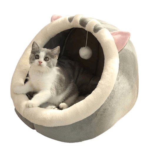 Chat dans un lit en forme de chat