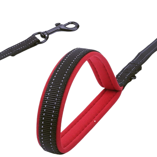 laisse double poignée avec matériaux robuste pour chien