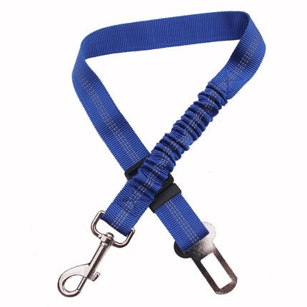 Laisse ceinture bleue de sécurité voiture pour chien 