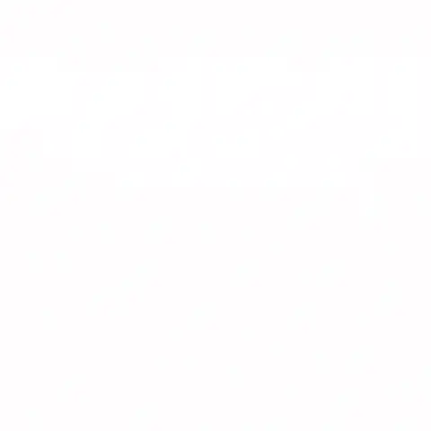 Harnais avec LED pour chien réglable et robuste