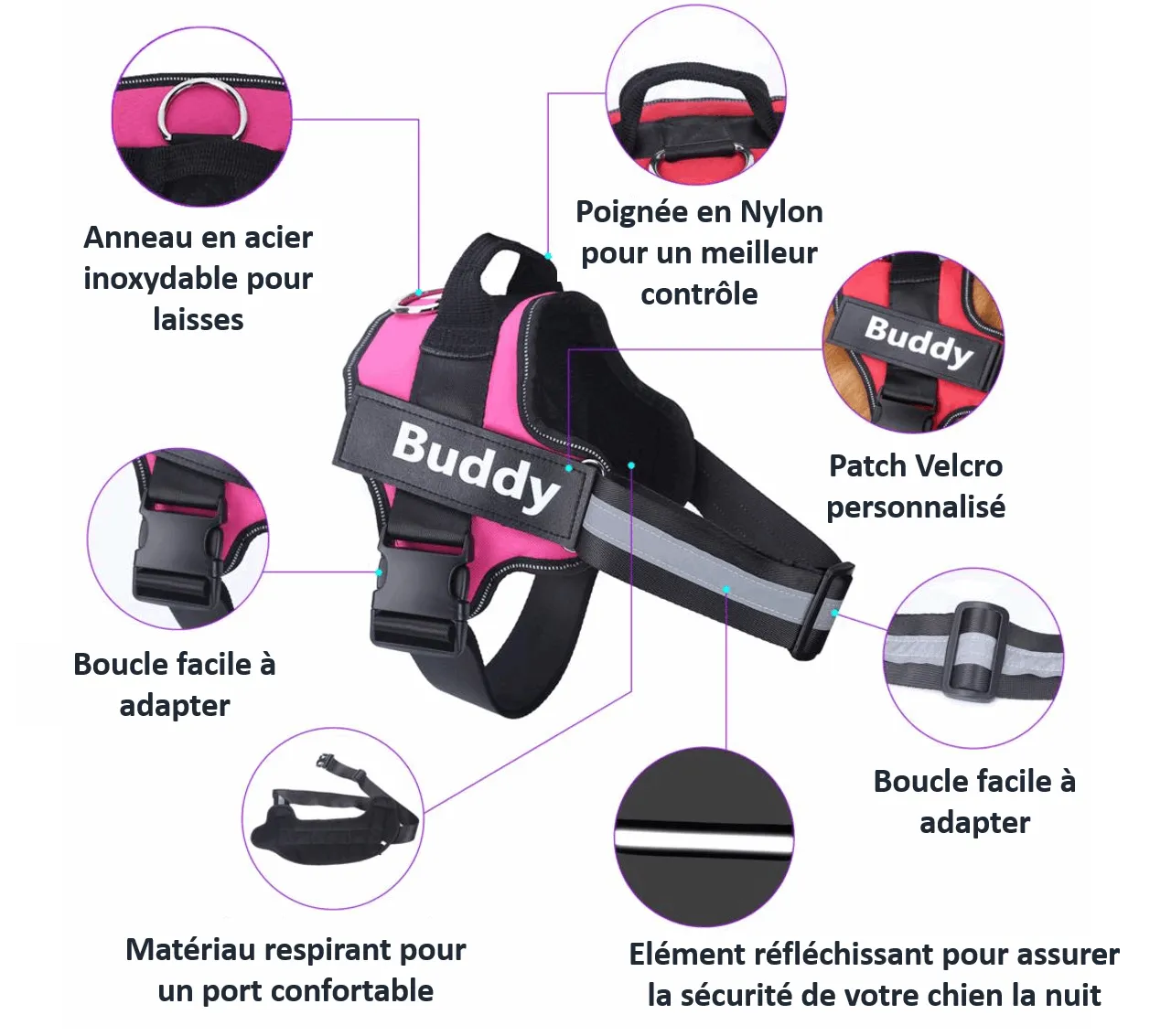 description de l'avantage d'un harnais personnalisé pour chien avec couleur