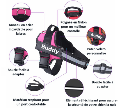 description de l'avantage d'un harnais personnalisé pour chien avec couleur
