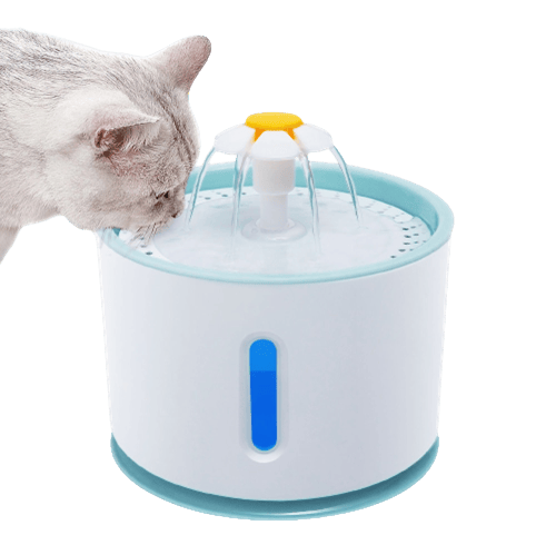 Fontaine à eau ronde avec LED pour chat