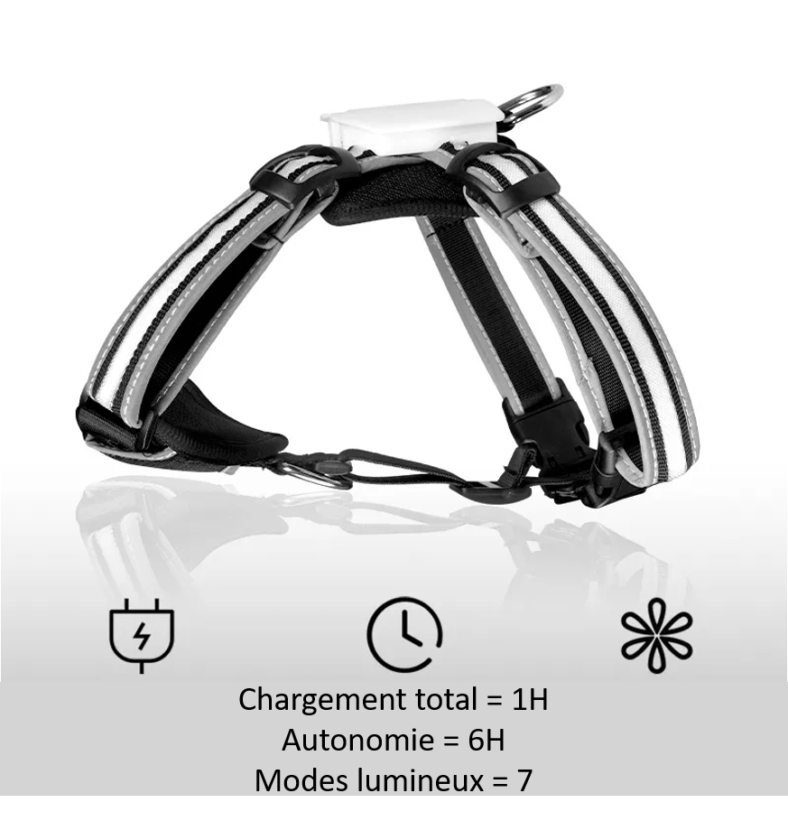 Informations techniques sur notre harnais avec LED pour chien