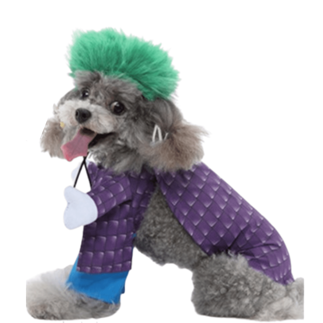 Déguisement pour chat et chien - Joker