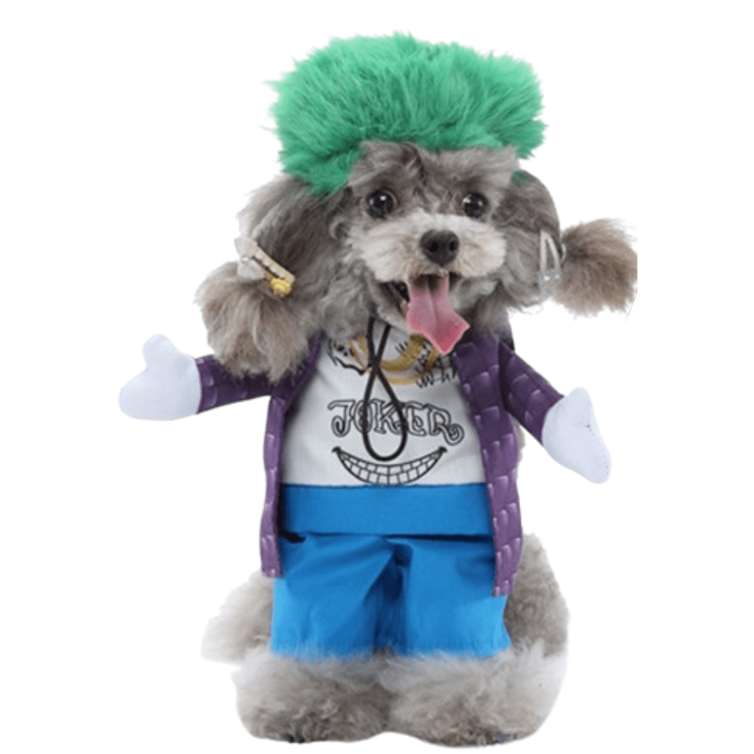 Déguisement pour chat et chien - Joker