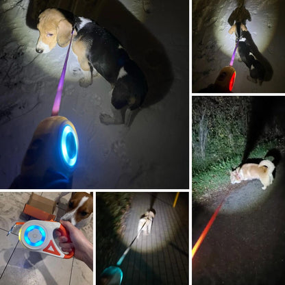 Photos clients de notre laisse rétractable avec lumière LED