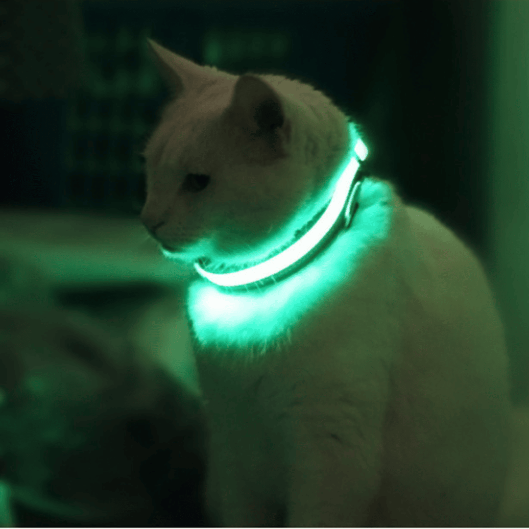 Collier lumineux LED vert allumé