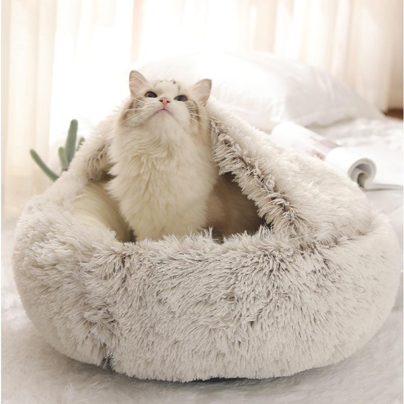 Chat dans notre nid douillet