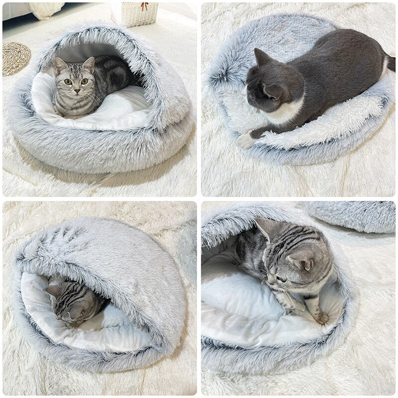 Chat avec notre nid douillet pour chat