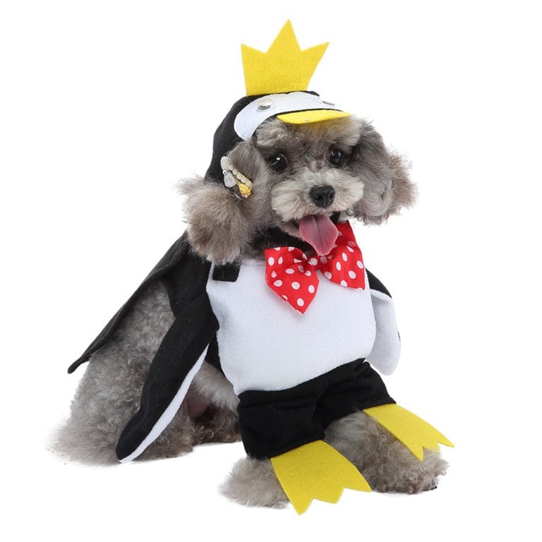 Déguisement pingouin pour chien et chat