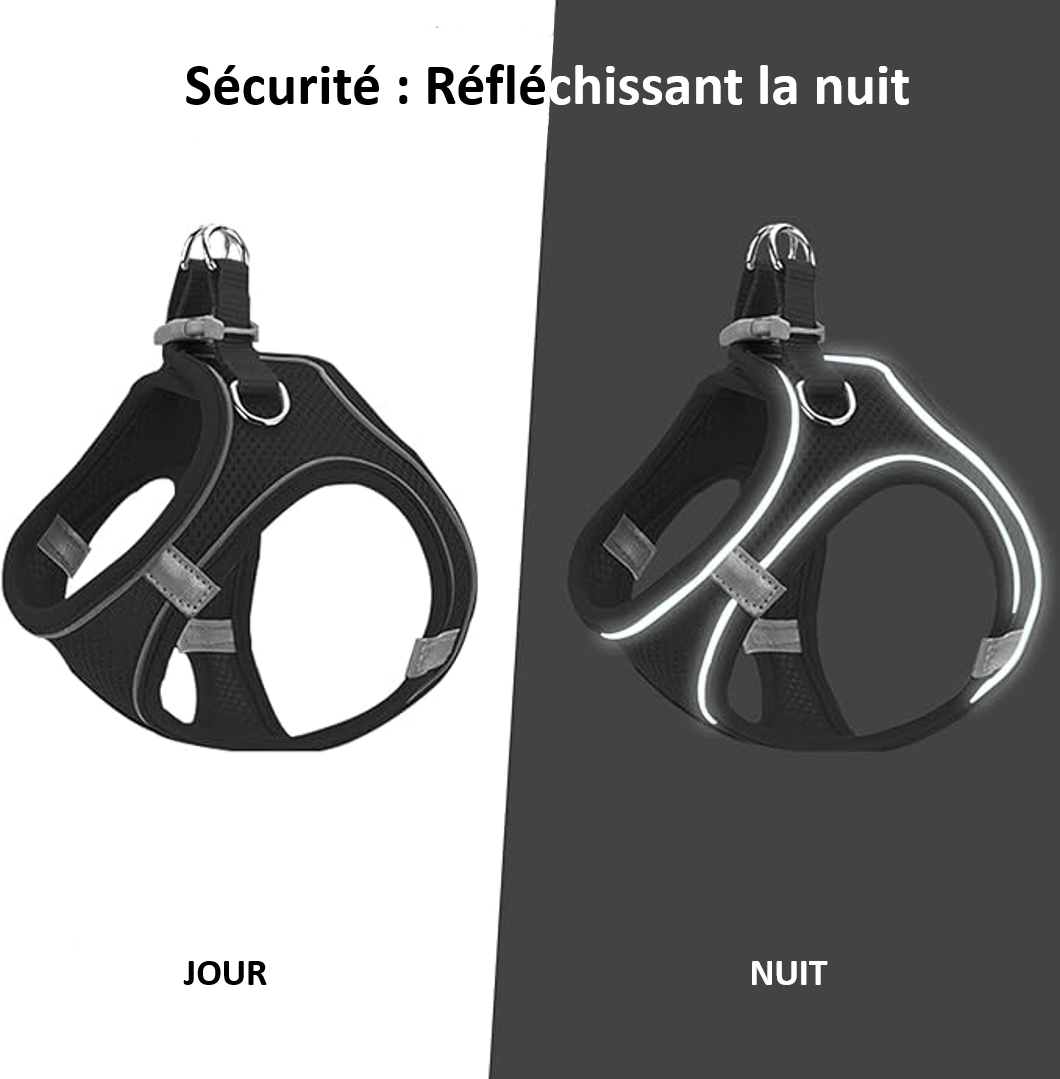 harnais pour petit chien réflechissant