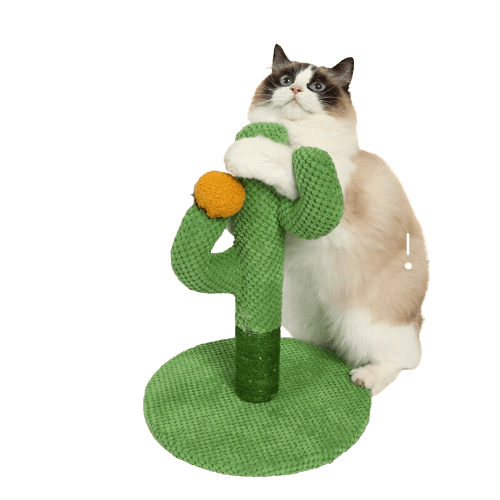 Chat avec un griffoir pour chat en forme de cactus