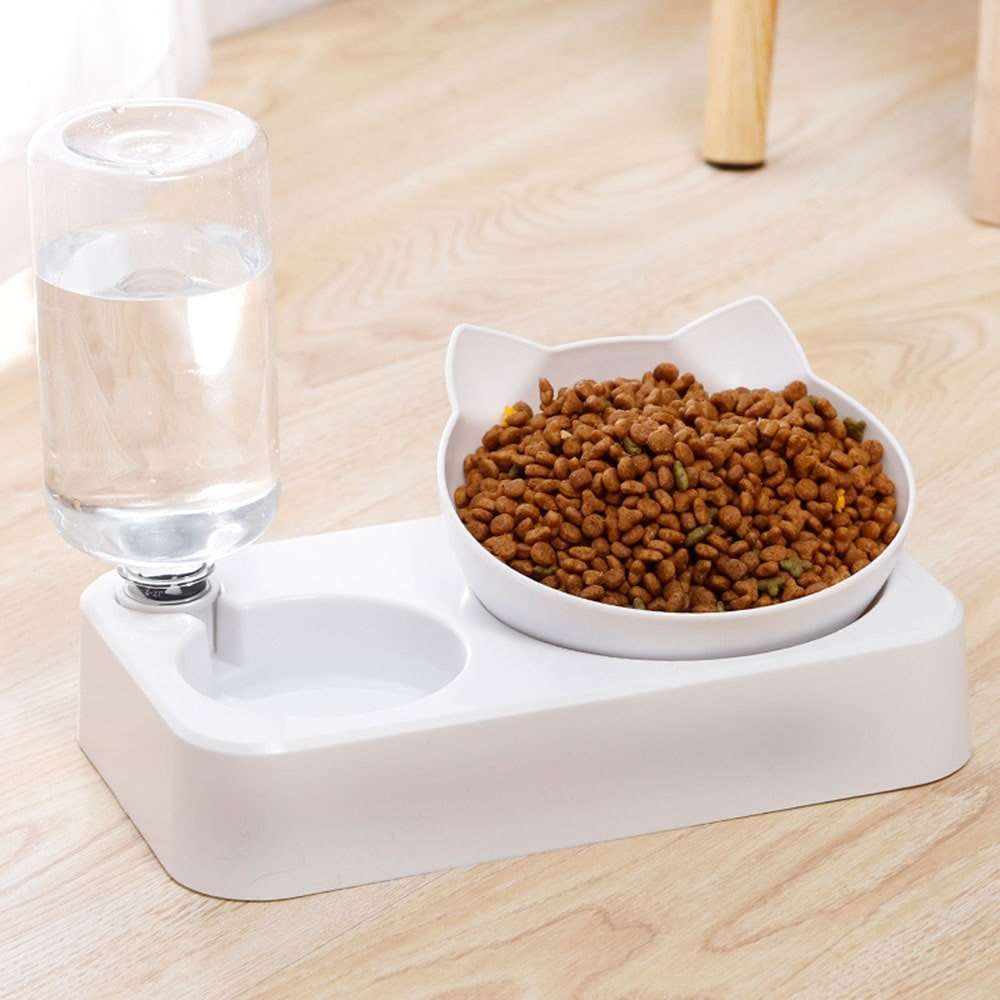 Bol de croquettes pour chat avec distributeur d'eau automatique
