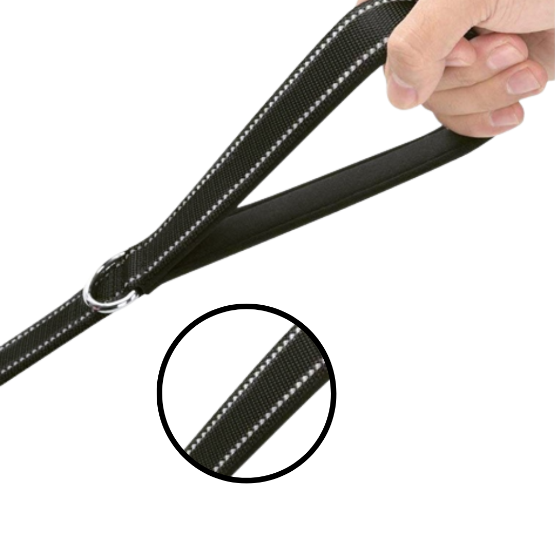 laisse double poignée réfléchissante pour chien