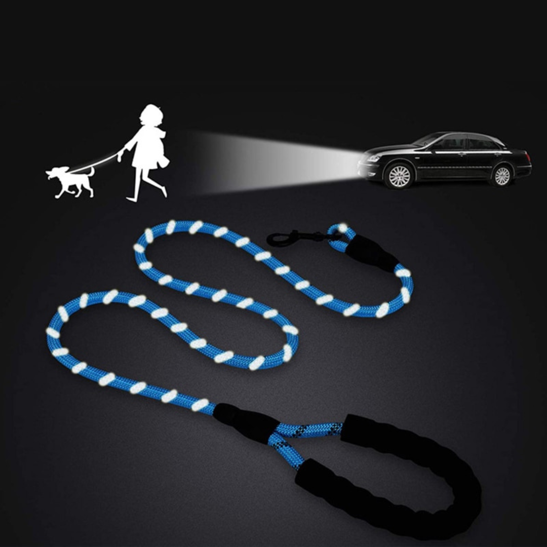 laisse corde réfléchissante en nylon pour chien