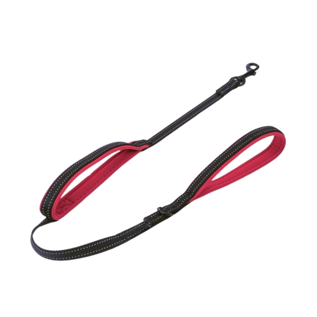 laisse double poignées pour chien confortable