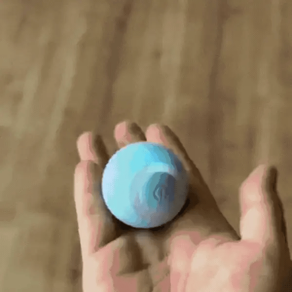 Deux chatons qui jouent avec une balle interactive