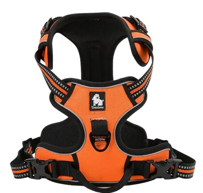 Harnais orange anti traction pour chien