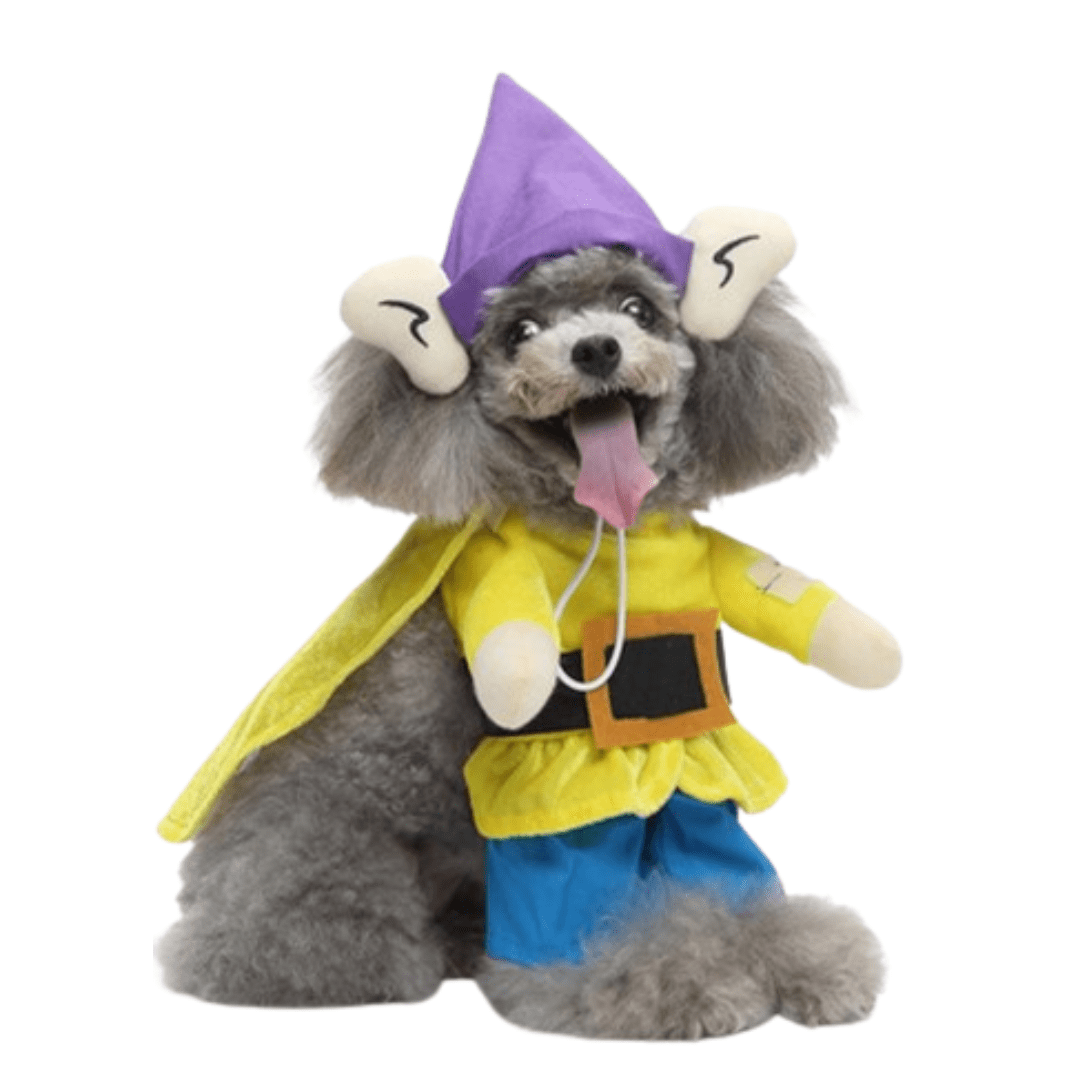 Déguisement pour chat et chien - Simplet