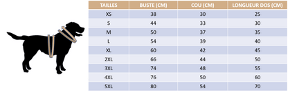 Guide des tailles de notre imperméable réversible pour chien