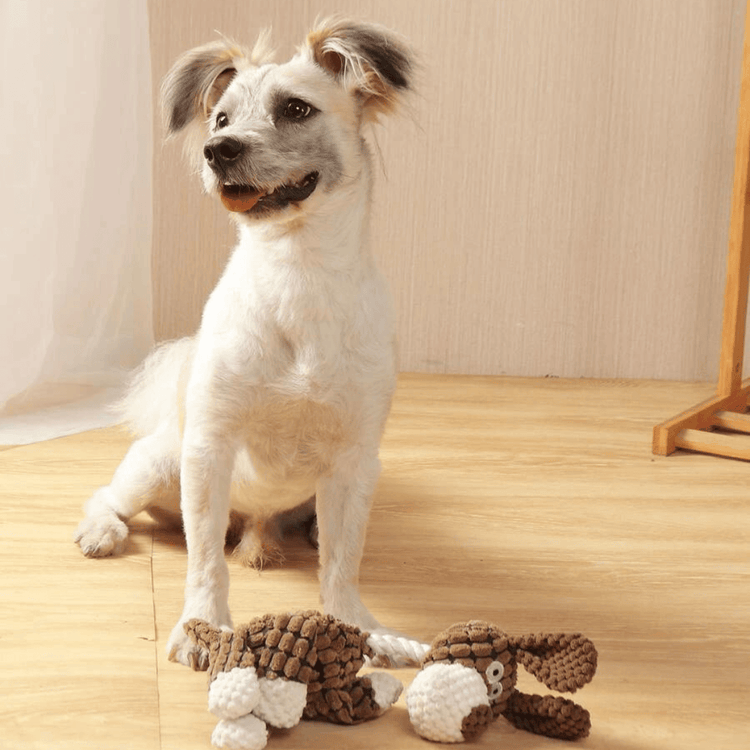 Biscuit™ : Peluche chien pour chien