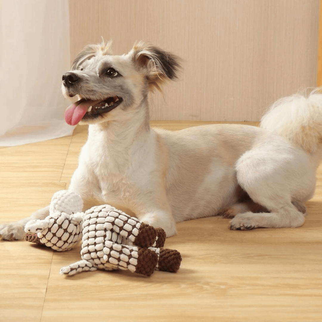 Chien avec une peluche en forme de girafe