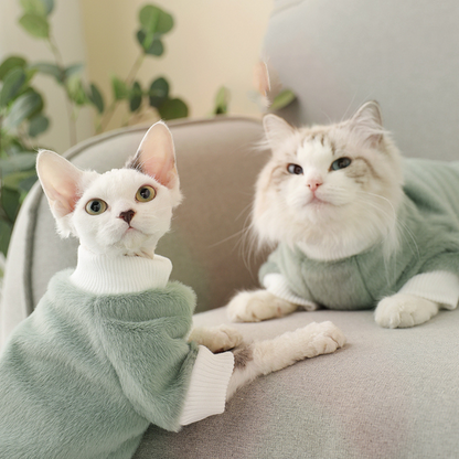 Chien qui porte un pull polaire vert