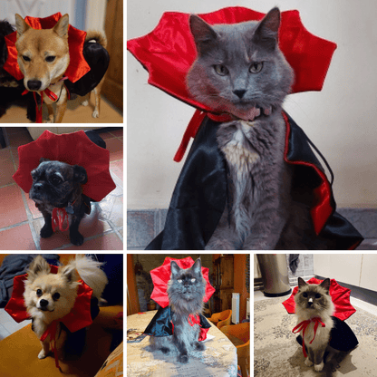Photos clients avec notre déguisement d'halloween Dracula