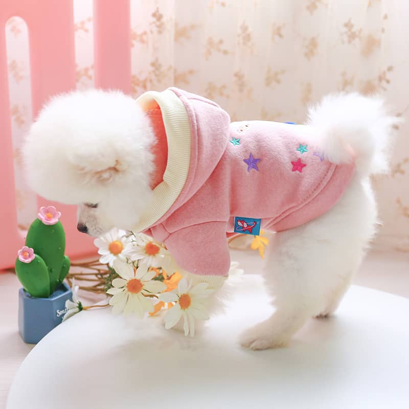 Chien avec un pull à capuche licorne