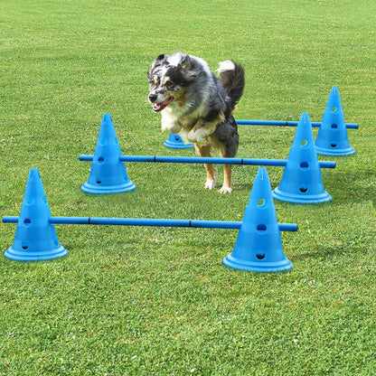 Chien utilisant notre set d'entraînement au saut