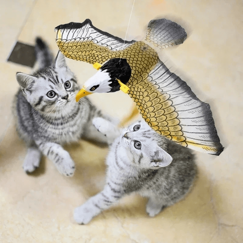 Aigle volant interactif pour chat