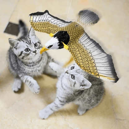 Aigle volant interactif pour chat