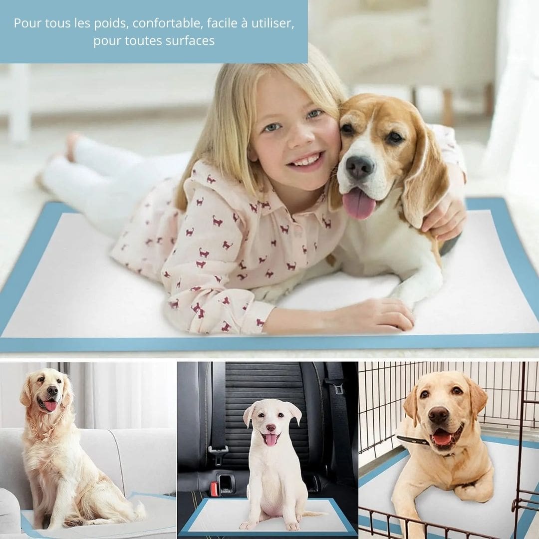 Avantages de nos tapis de dressage pour chien