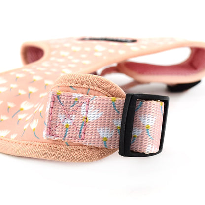 Sangles de notre harnais rose pour petit chien