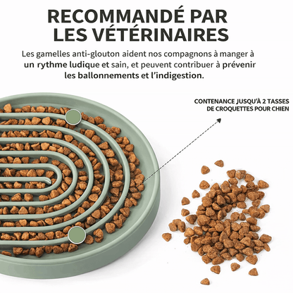 gamelle anti-glouton en silicone recommandée par les vétérinaires