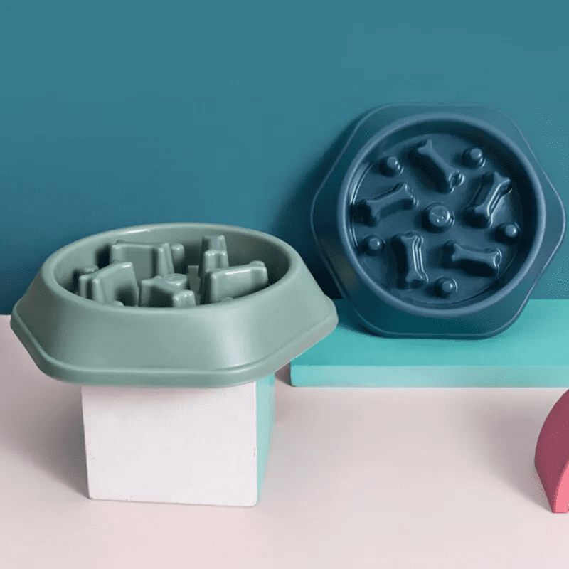 Gamelle anti-glouton motif os pour chien et chat