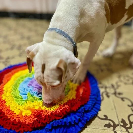 Tapis de fouille arc-en-ciel pour chien