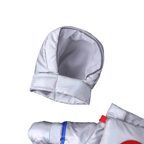 Détails de notre déguisement astronaute pour chat et chien