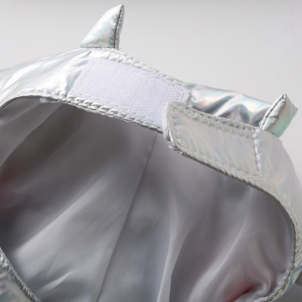 Détails de notre déguisement astronaute pour chat et chien