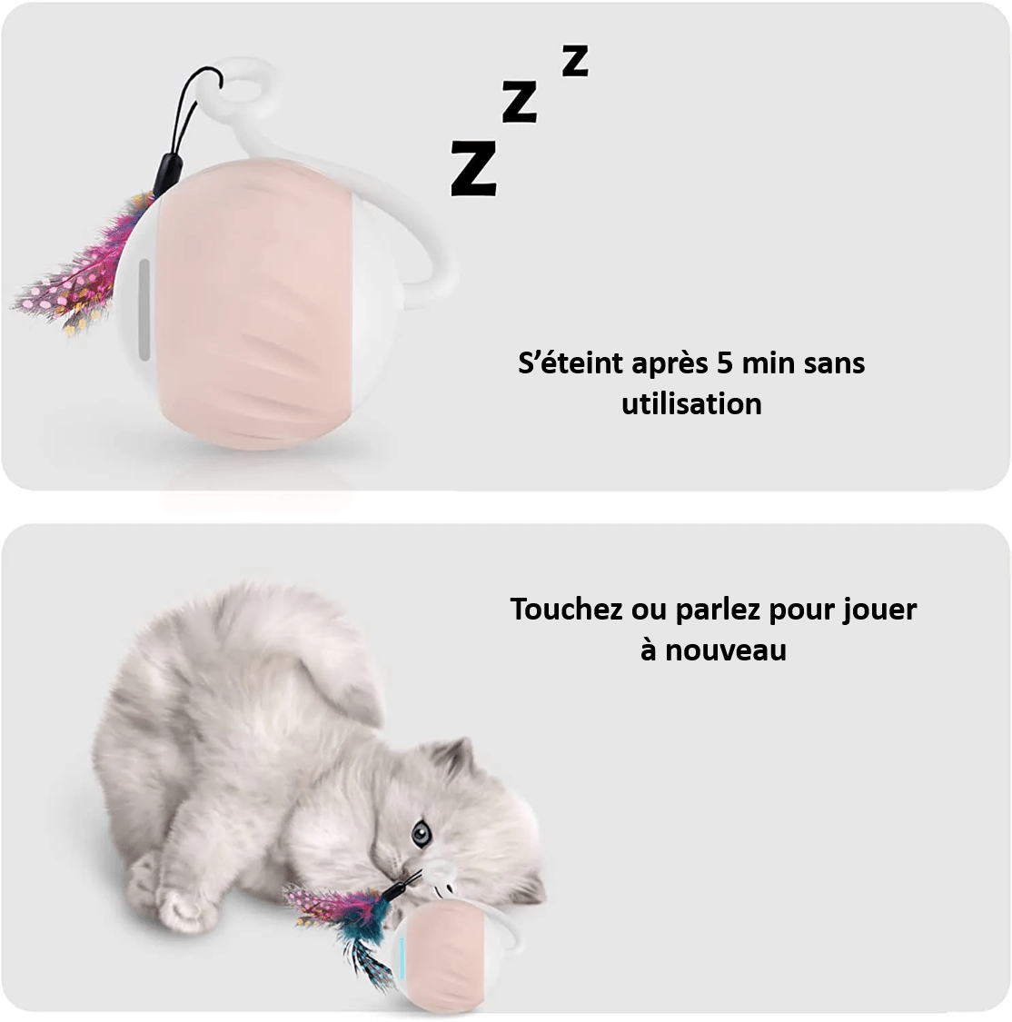 Utilisation de notre balle automatique avec plumes pour chat