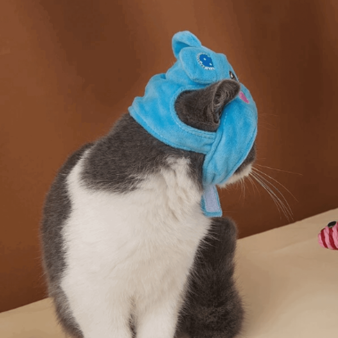 Chat avec notre chapeau en forme d'animal