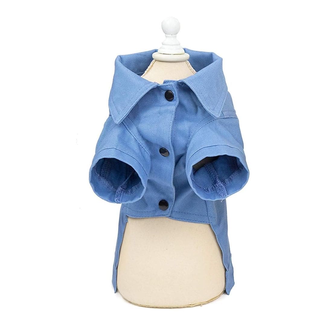 Avant de notre veste Denim de printemps pour chien