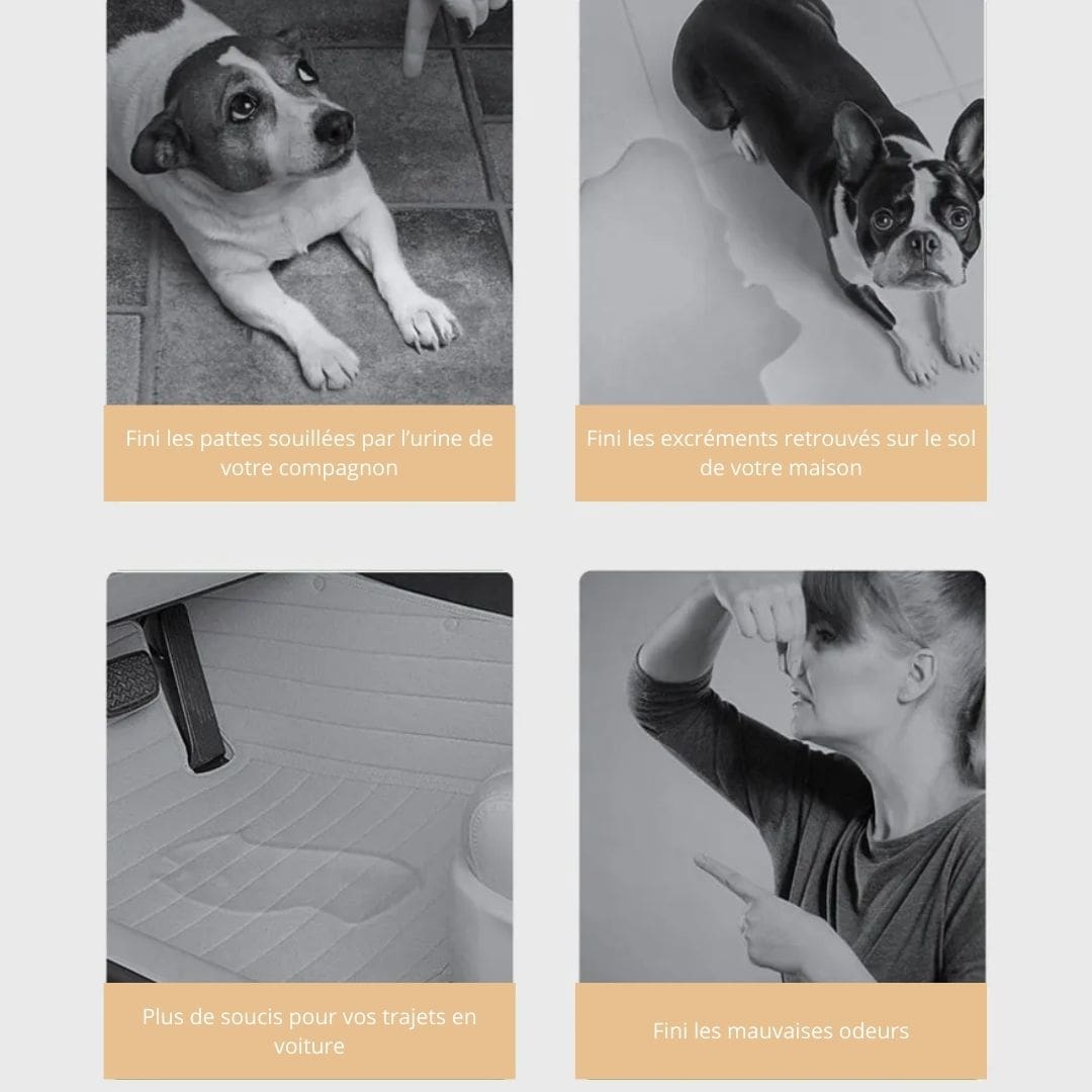 Avantages de nos tapis de dressage pour chien