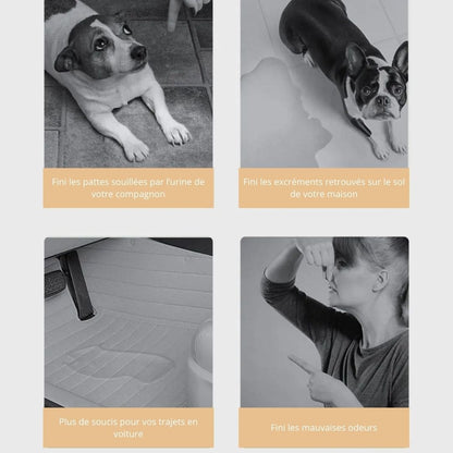 Avantages de nos tapis de dressage pour chien